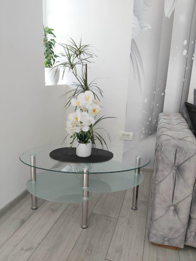 Apartment Marina 2 Kotor Luaran gambar